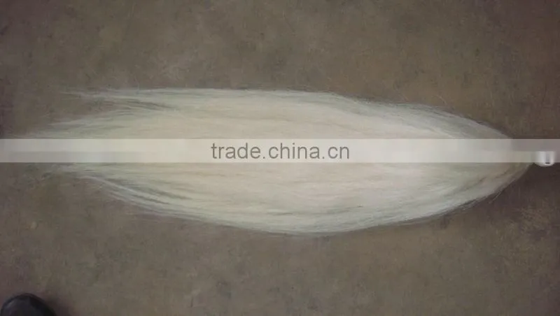 supply good color horse hair tassel best price in China