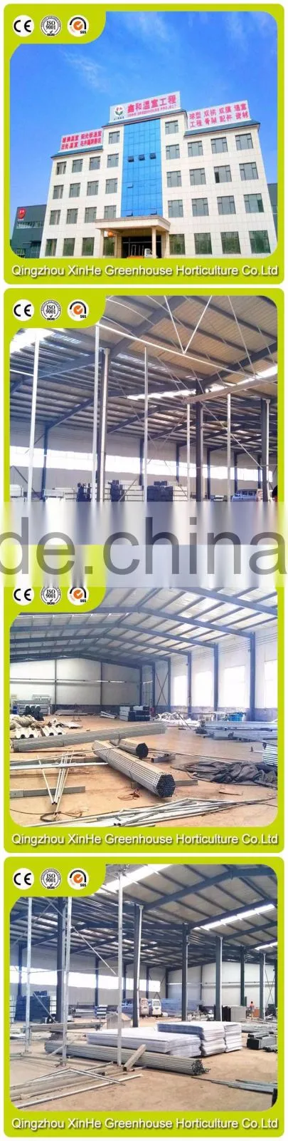 Commercial Greenhouse,Industrial Greenhouse,Agricultural Greenhouse
