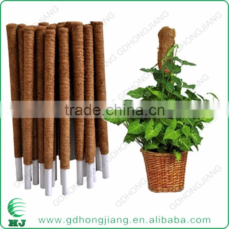 Coir Stake for climbing plant support