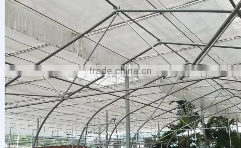 Commercial Plastic Film Blackout Greenhouse for Medical Plant