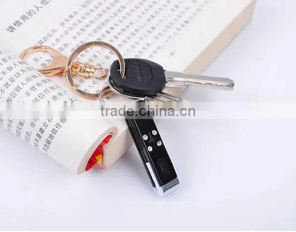 Steel Crystal Static keychain