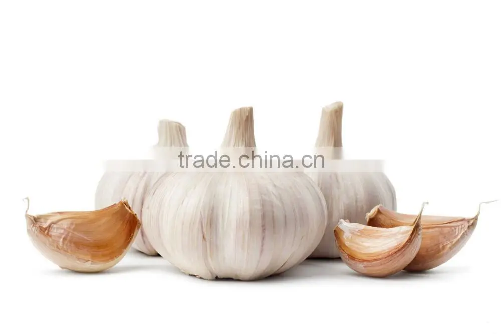 5.0cm fresh normal white garlic for sale