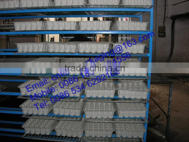 OEM Orders Eco-friendly molded paper pulp beverage tray