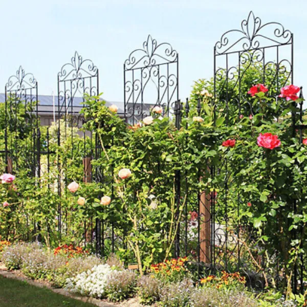 image (63).png