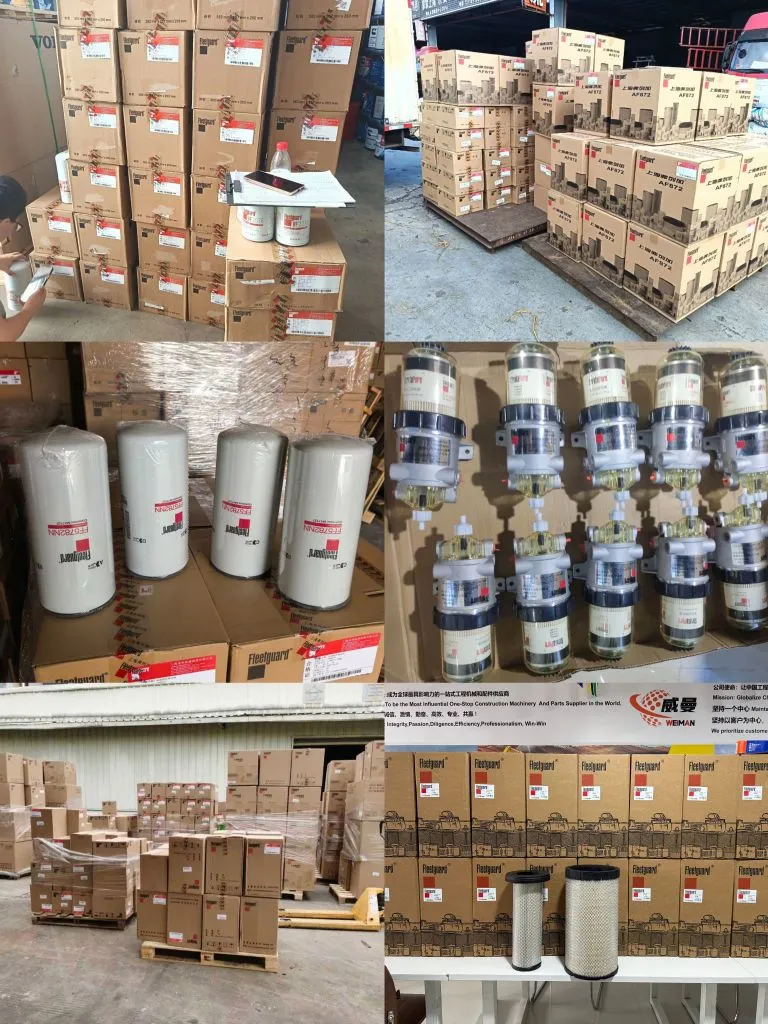 弗列加小图.jpg.webp