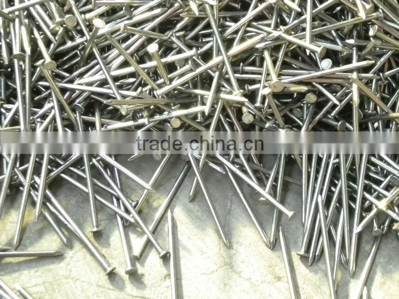 Top quality iron nails supply, iron nail, common wire nail as construction material