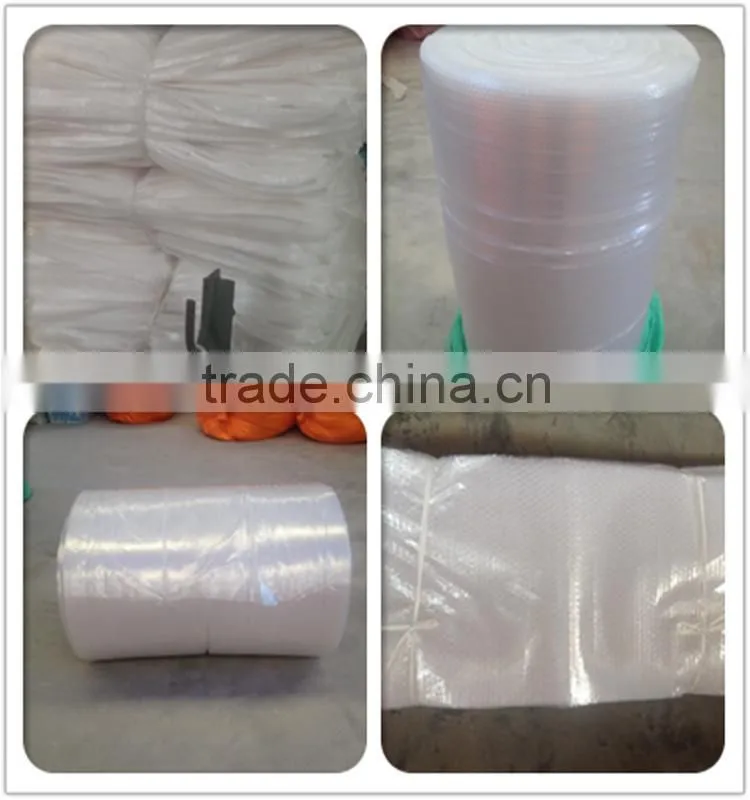 Air Bubble Film/Air Bubble Plastic Roll/Bubble Sheet for promotion