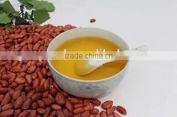 automatic avocado oil expeller/press machine