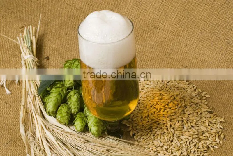 NEW 50L Ruijia homebrewe micro unstillery brewing system
