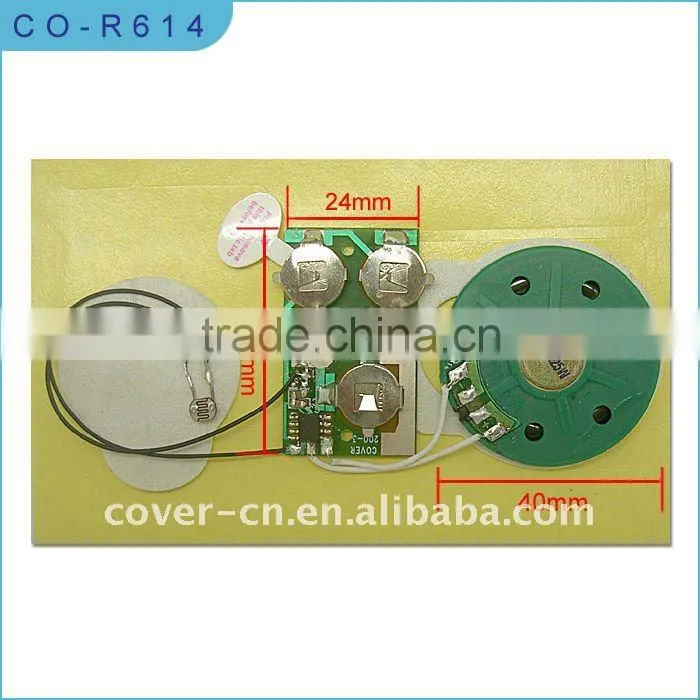 Recording Greeting Card Sound Module/Voice Chip with push button
