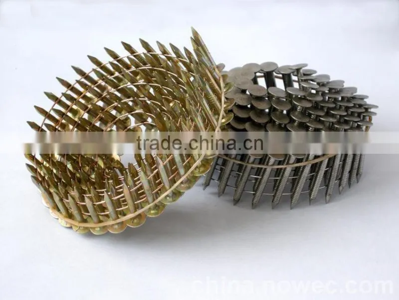 common nails / roofing nails / coil nail ( MANUFACTURER )