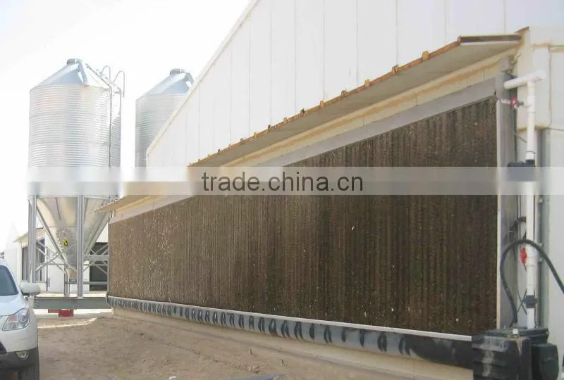 2014 steel chicken farm house with all automatic control equipments in Nigeria