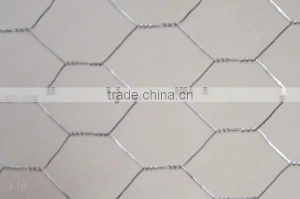 Chicken Wire Mesh/ Dog Cages