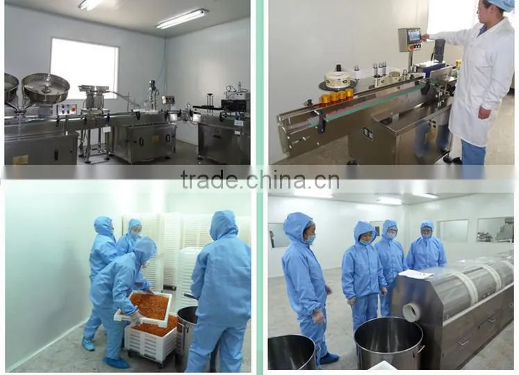 chinese manufactures direct supply bulk carrot essential oil