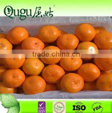 2016 China fresh Juicy Sweet Citrus