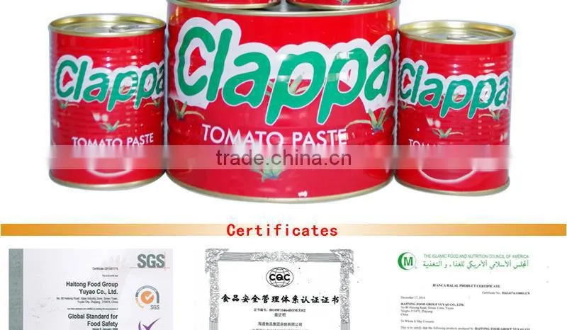 Tomato paste factory good quality/good service 70gX50tins