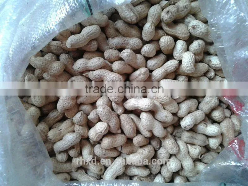 Chinese New Crop High Quality Raw Peanut Shell