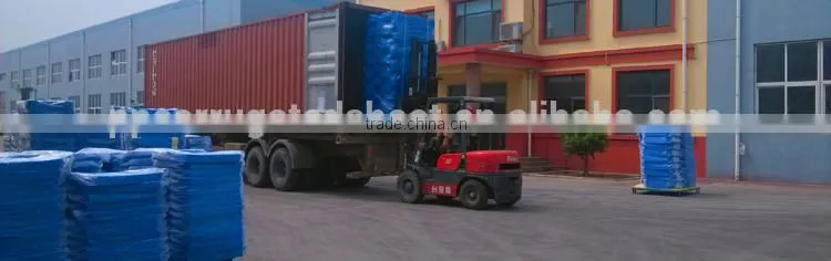 Factory Price Polypropylene Seal Edge Correx for Bottles and Cans