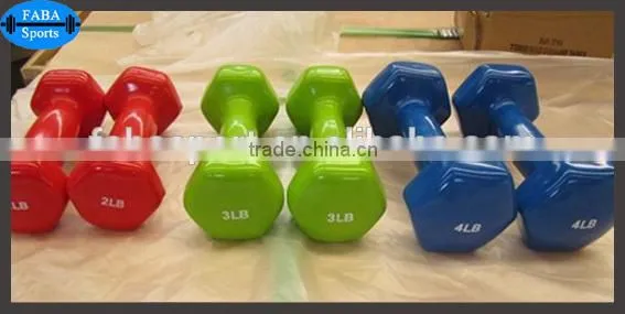 Vinyl Dumbbell FRD-101