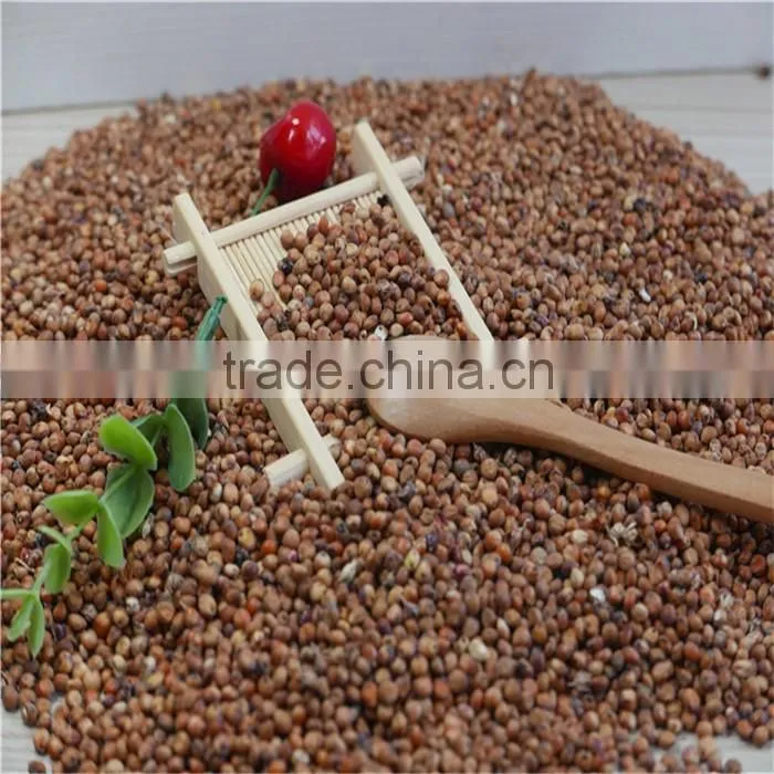 Natural Glutinous Red Sorghum price