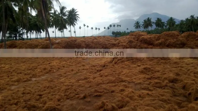 Natural Coco peat/Coco pith/Coir Products