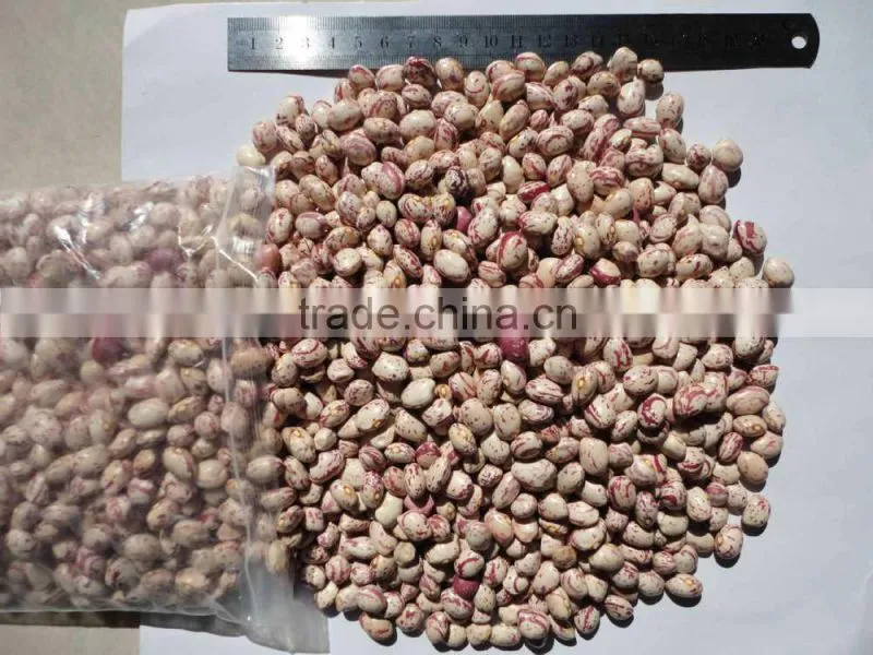 2014 Light Speckled Kidney Bean Xinjiang Round Type 150-170
