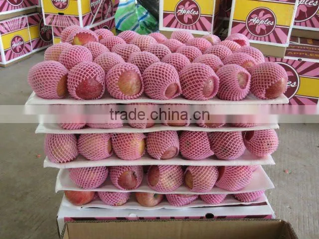 Chinese Fresh Fuji Apple Price