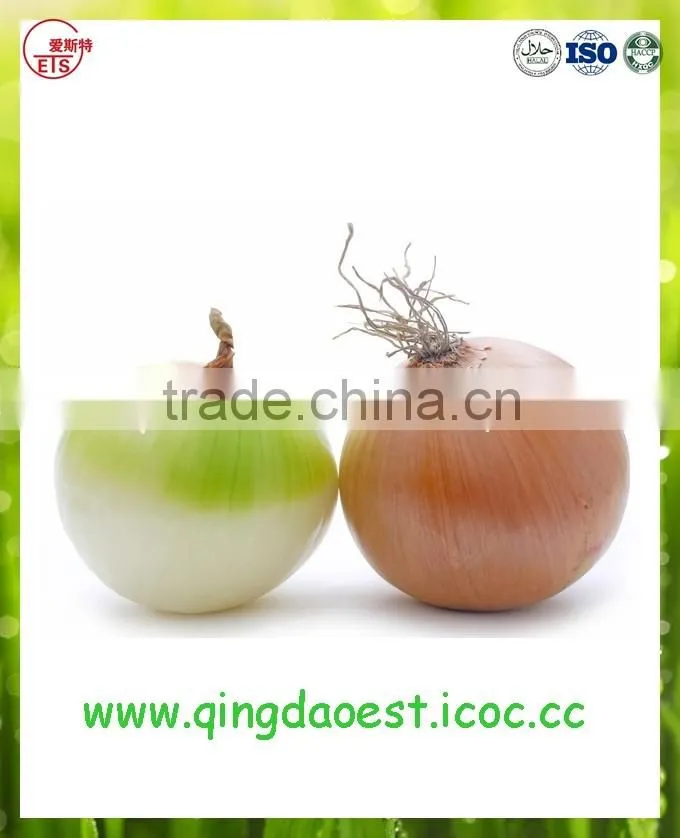 Fresh Red/Yellow Onion products