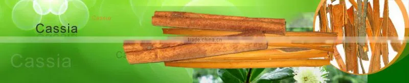 Finger Cassia (Cigarette cassia/ Cassia Verra)