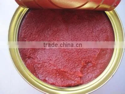Factory price canned tomato paste brix:28%-30%
