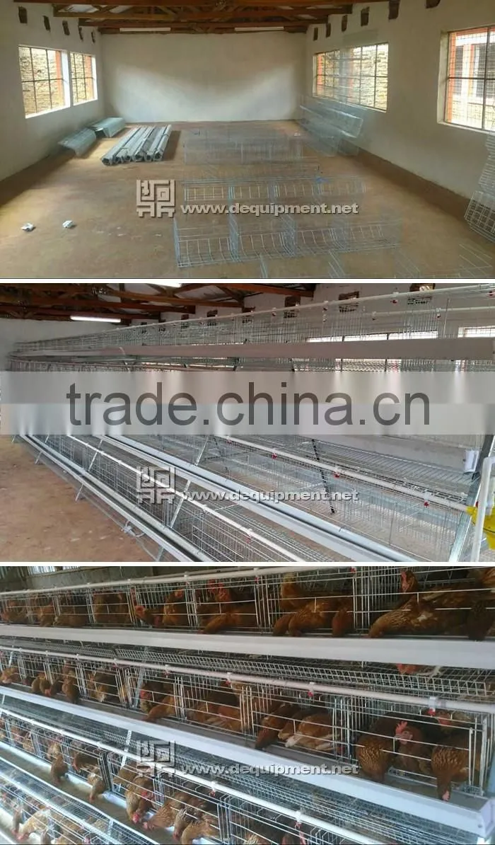 TA NO.1 factory kenya poultry farm