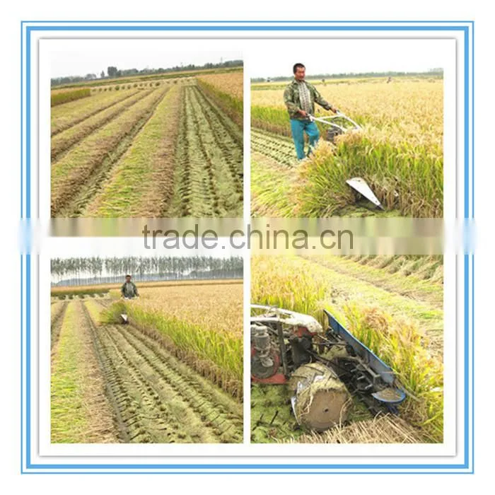 Manual Reaping With 90cm Paddy Rice Harvest Machine