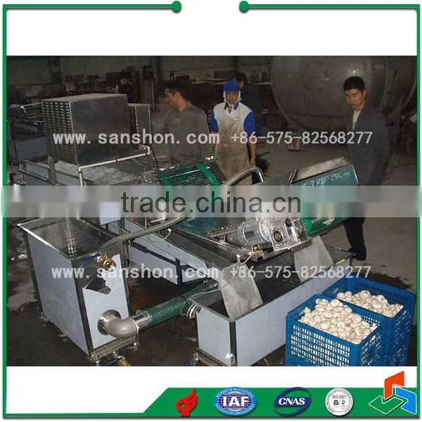 Vegetable Bubble Washing Leafy Vegetable Washing Machine