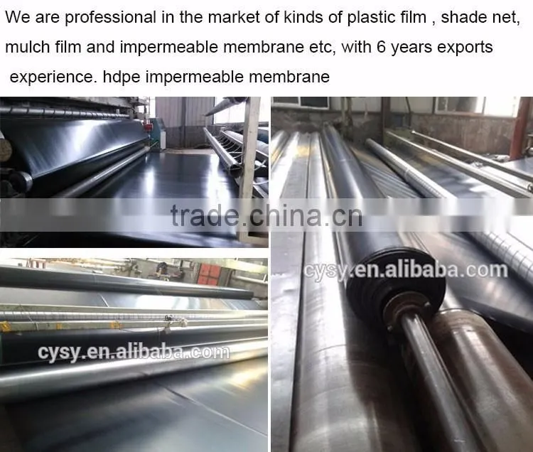 hdpe geomembrane fish pond liner