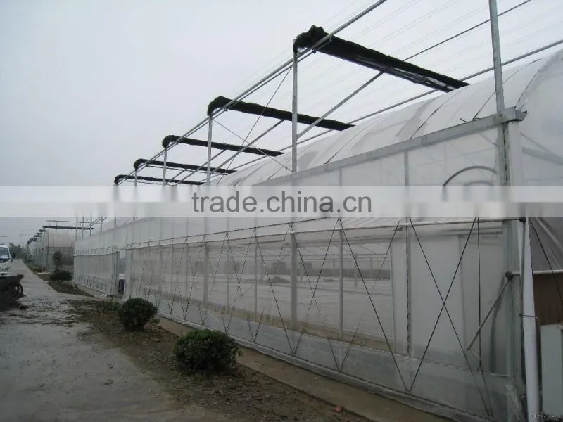 Plant greenhouse for flower