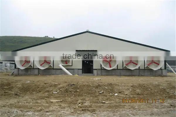 Industrial steel structure design poultry farm shed chicken house for layers