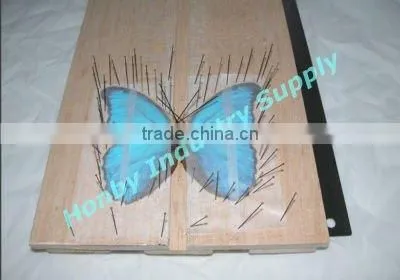 China Continental Entomological Stainless Steel Headless Micro Pins