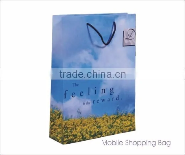 Paper Shopping Bag printed with custom design