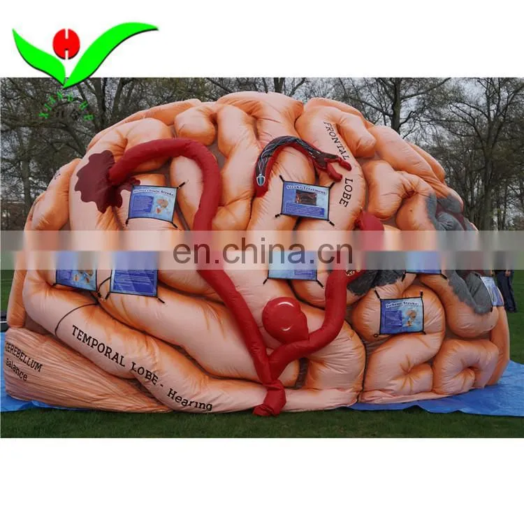 Outdoor large inflatable heart learning
