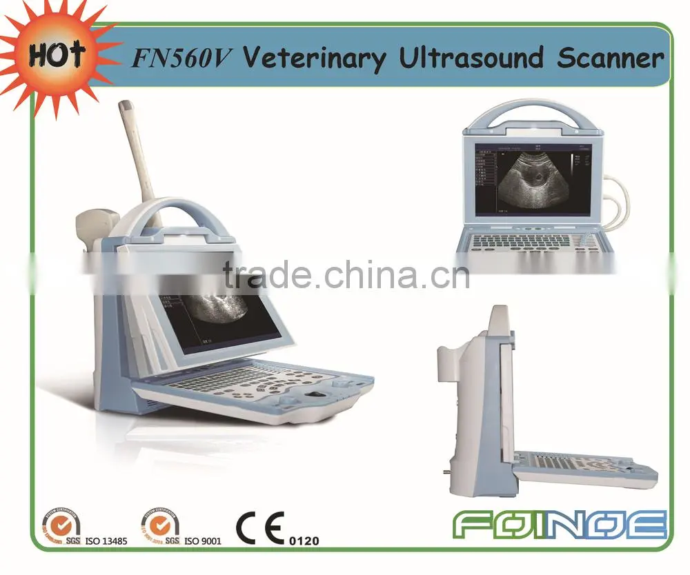 FN560V portable vet ultrasound device