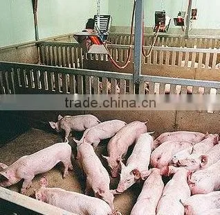 infrared catalyst gas heater for poultry farm (HD2606)