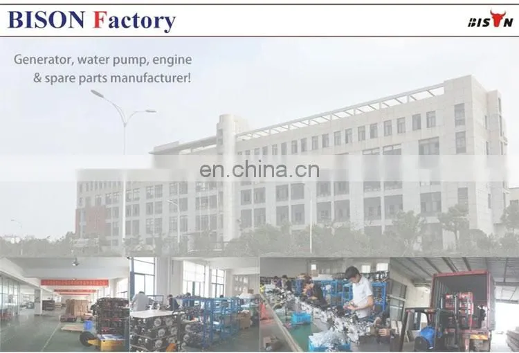 BISON(CHINA) 178F Engine Km178F Dieselmotor 6 Hp Diesel Motor 178Fa