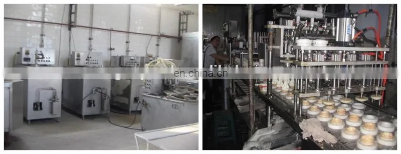 complete ice cream produce plant