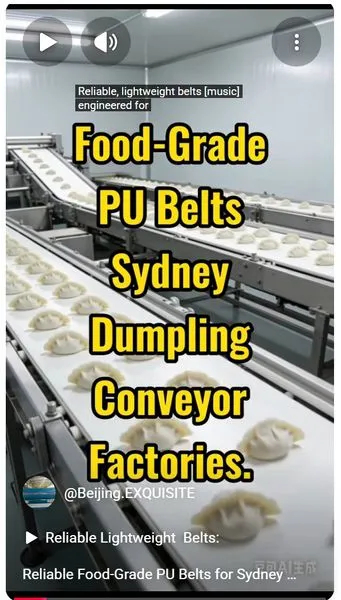 Reliable Food-Grade PU Belts for Sydney Dumpling Conveyor Factories