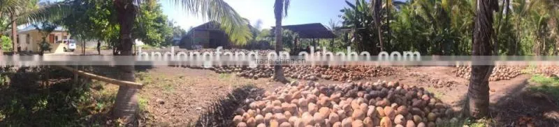 hot sale oman of coconut shell briquette machine