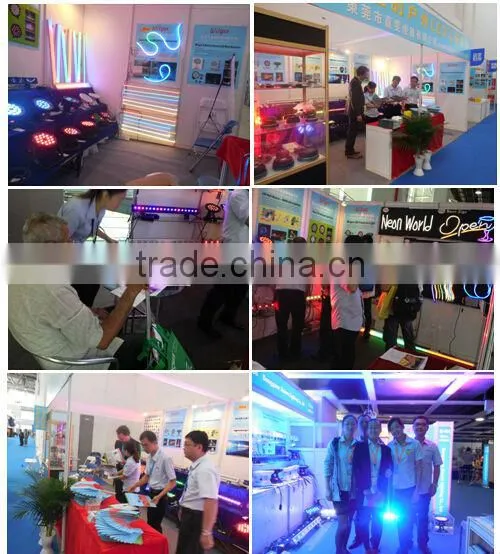 IP65 12V LED Neon Flex