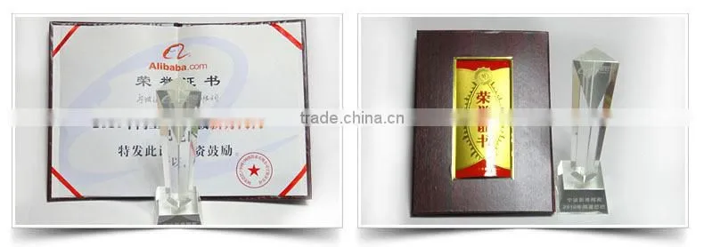 Promotional Hot Sale Cute Colorful Plastic Safety Lock