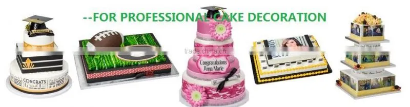 TG218 Cake decoration airbrush compressor kits