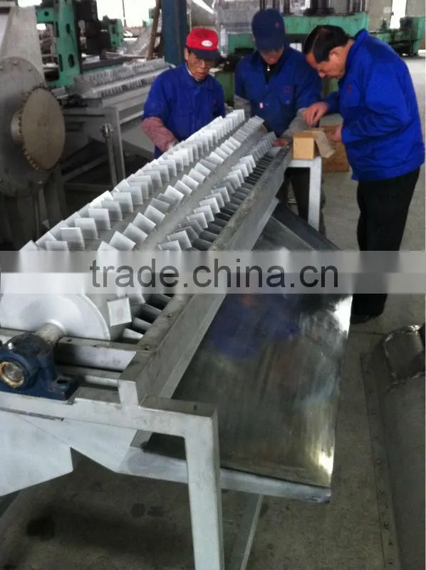 Professional peach seed removing machine