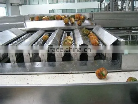 Mango pineapple processing line